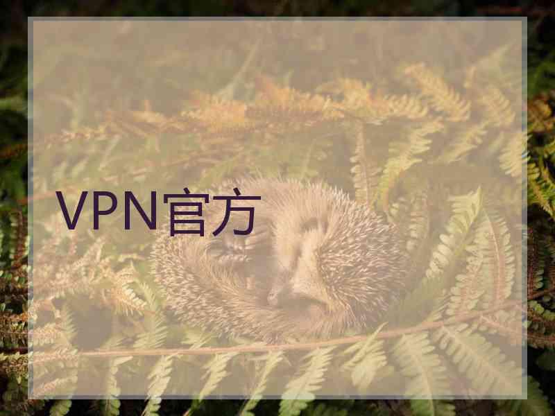 VPN官方