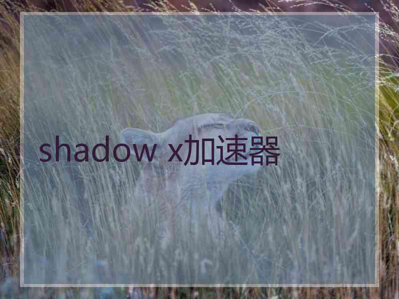 shadow x加速器