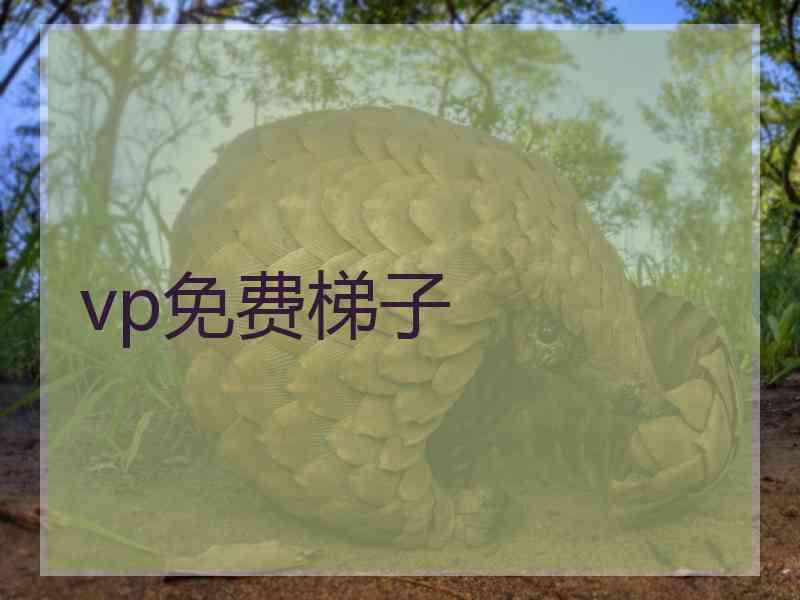 vp免费梯子