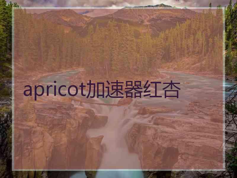 apricot加速器红杏