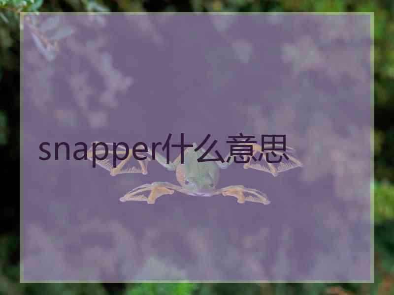 snapper什么意思