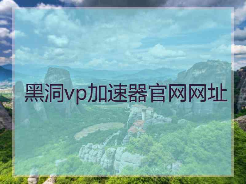 黑洞vp加速器官网网址