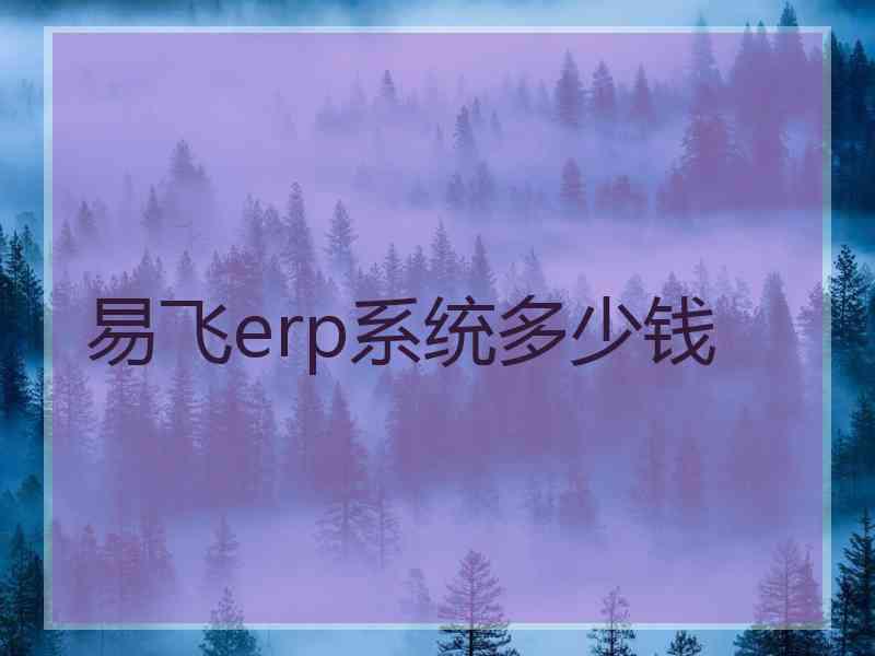 易飞erp系统多少钱