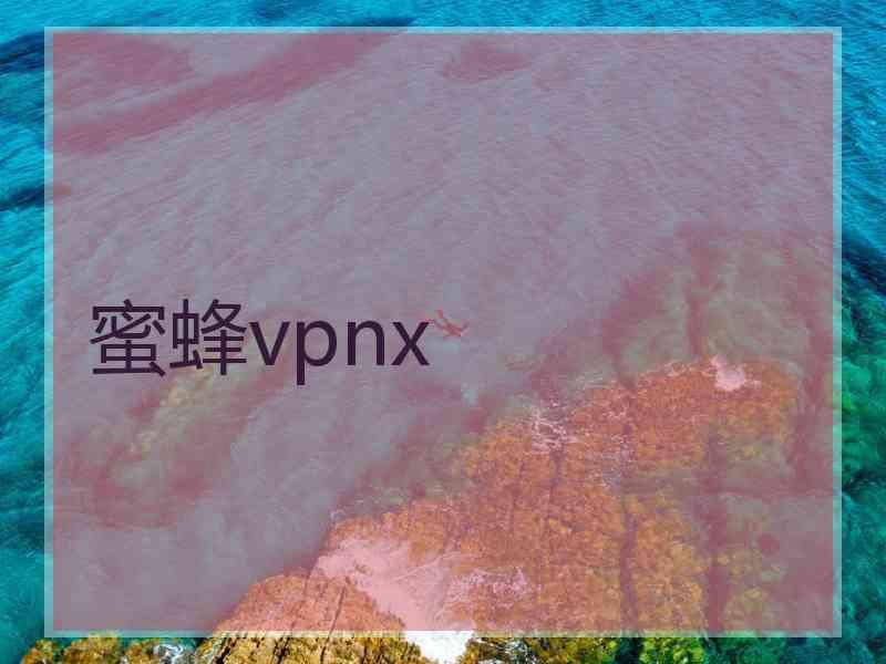 蜜蜂vpnx