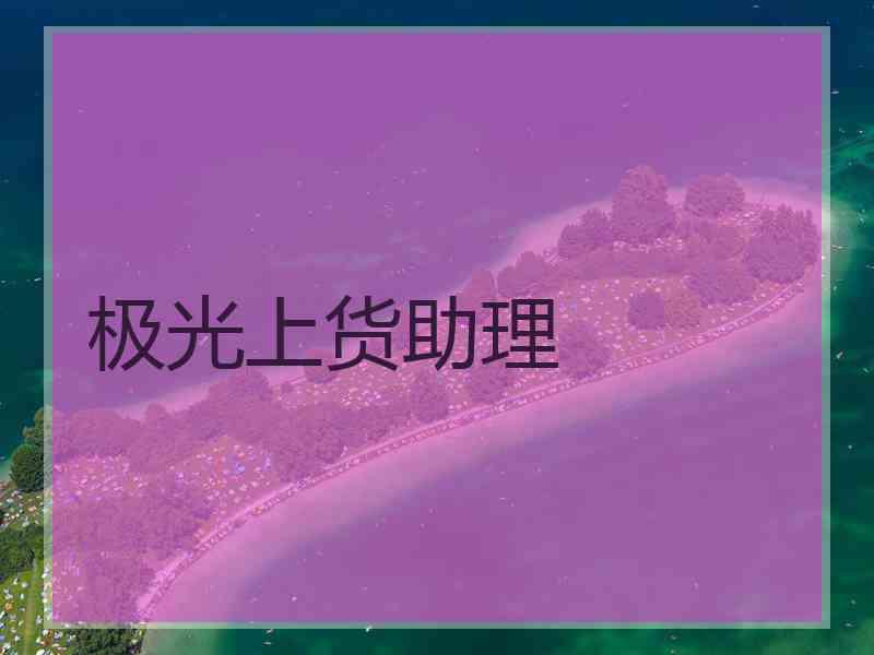 极光上货助理