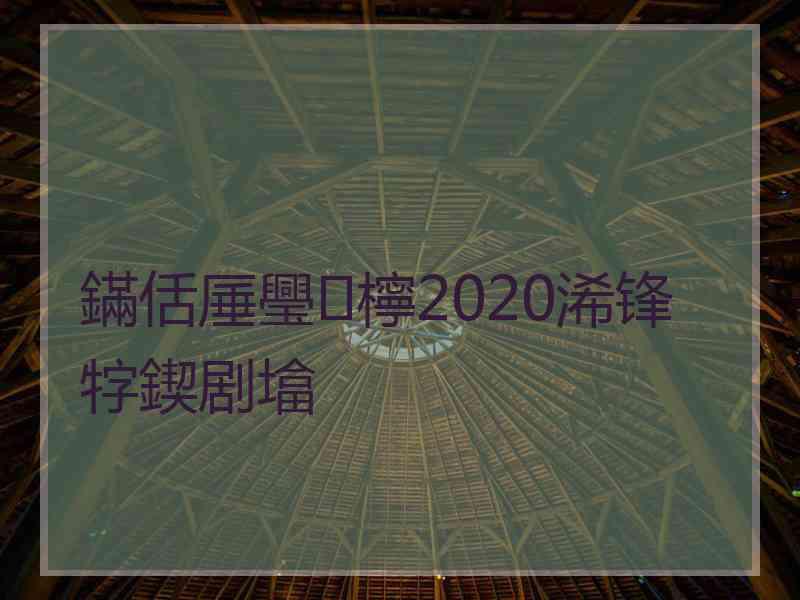 鏋佸厜璺檸2020浠锋牸鍥剧墖