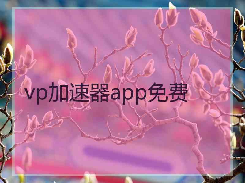 vp加速器app免费