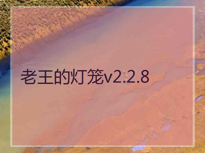 老王的灯笼v2.2.8