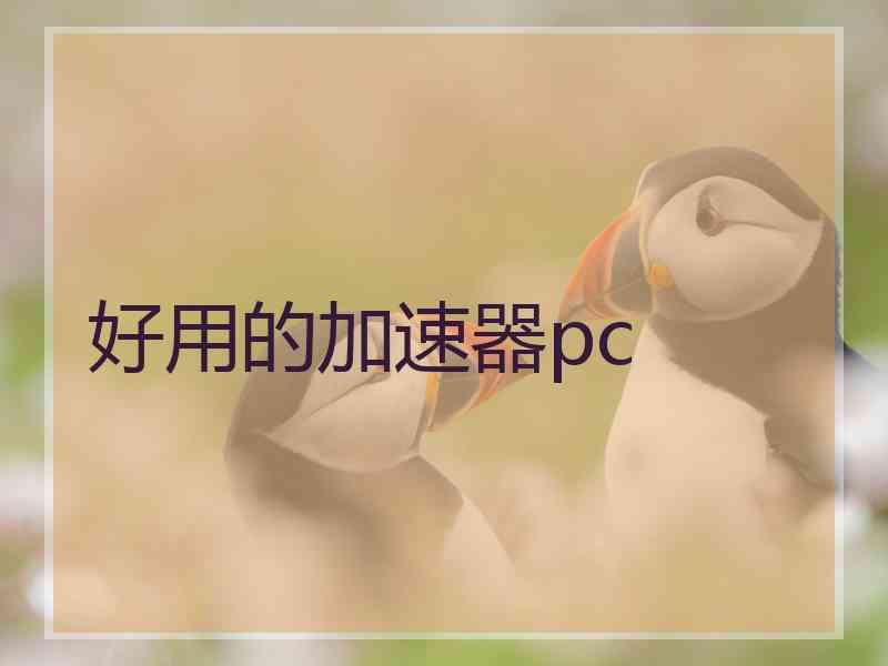 好用的加速器pc