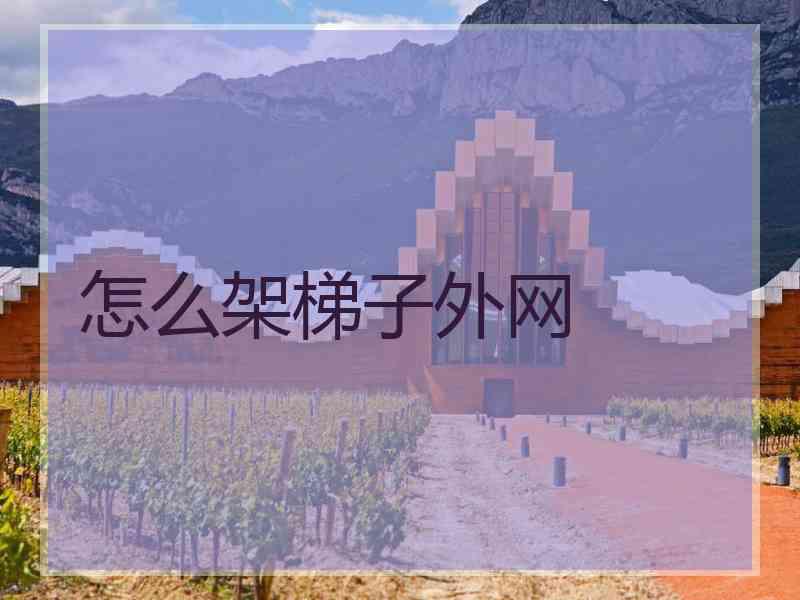 怎么架梯子外网