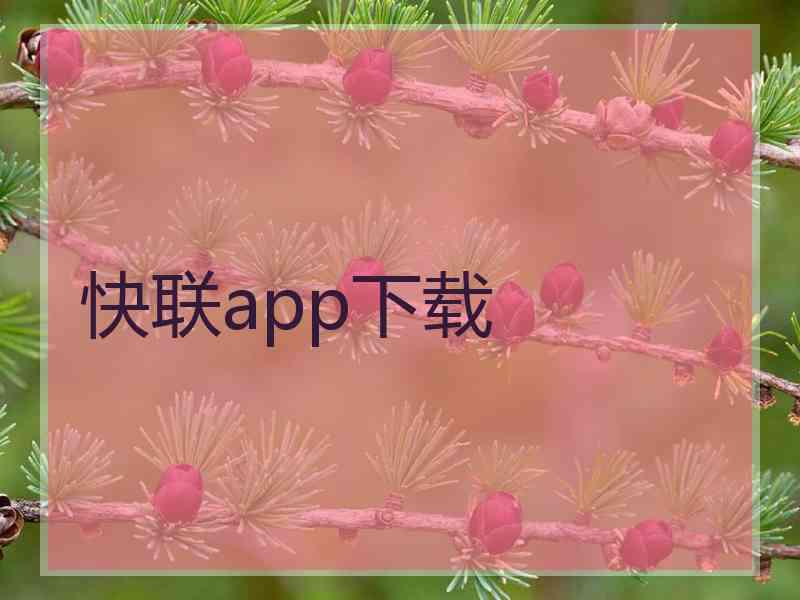 快联app下载