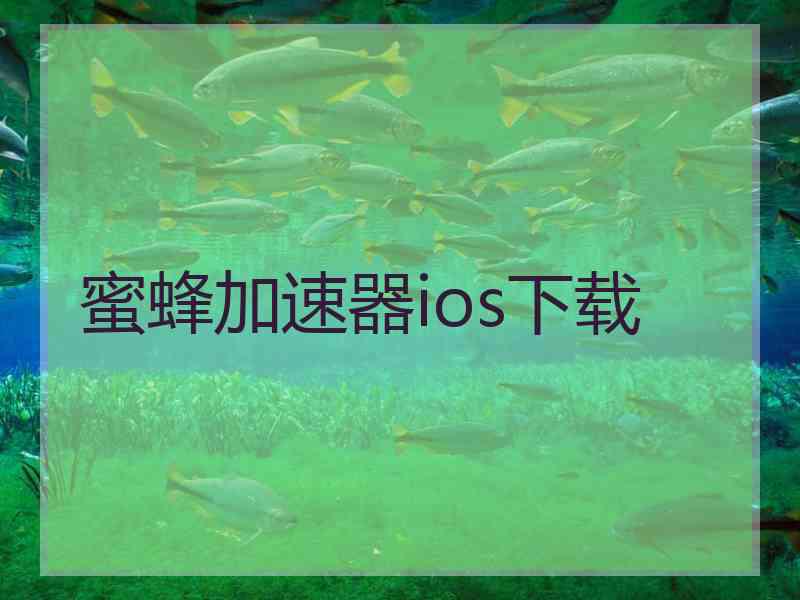 蜜蜂加速器ios下载