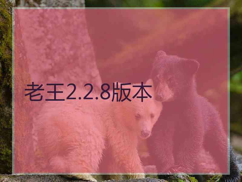 老王2.2.8版本