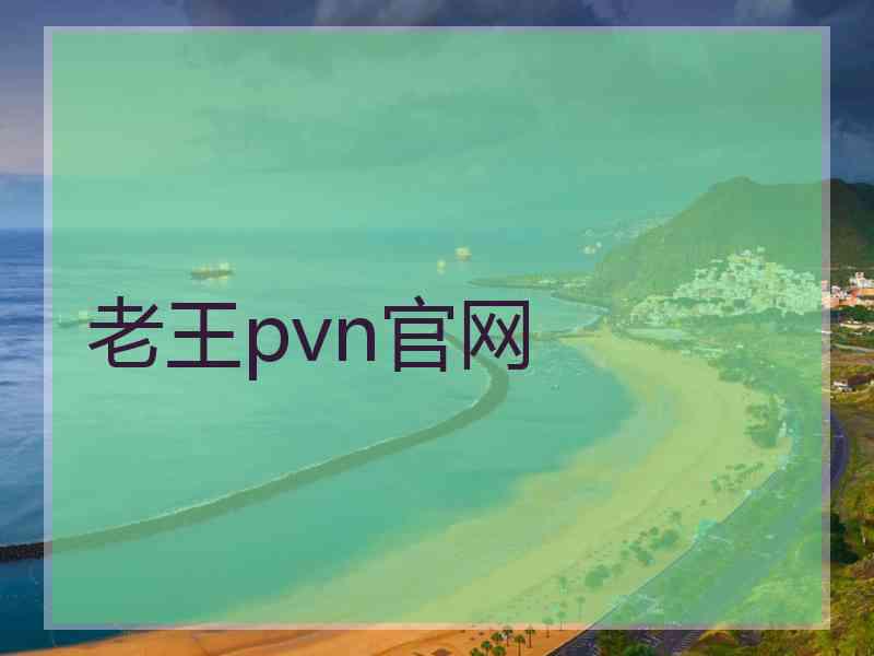 老王pvn官网