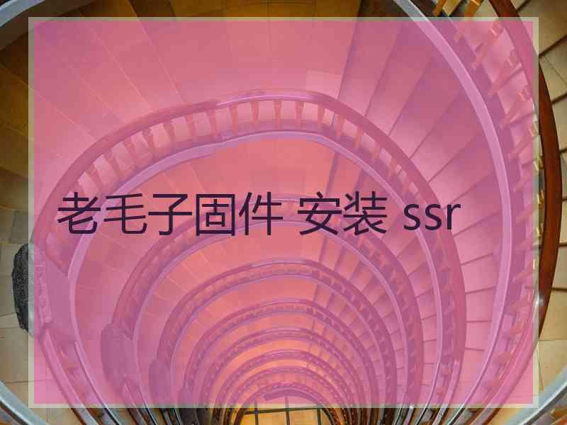 老毛子固件 安装 ssr