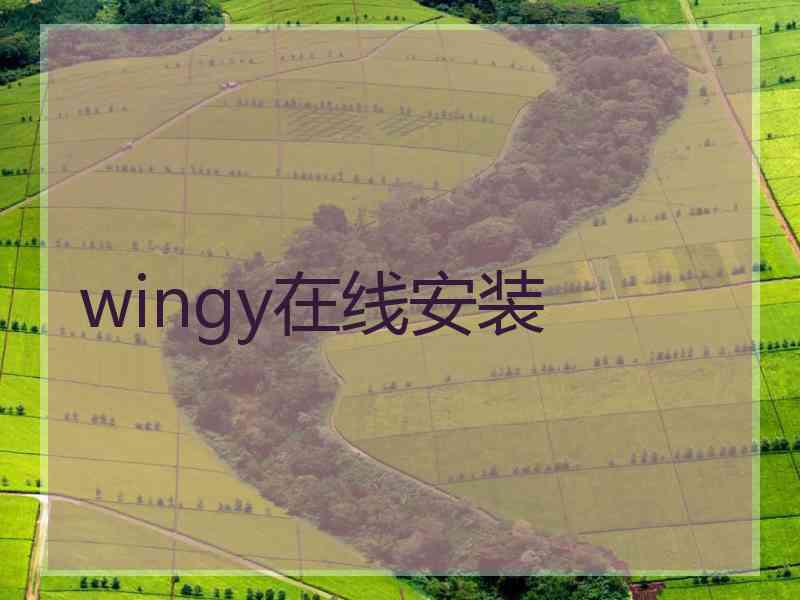 wingy在线安装