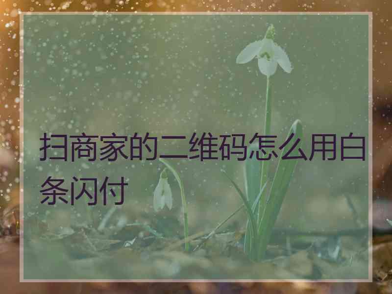 扫商家的二维码怎么用白条闪付