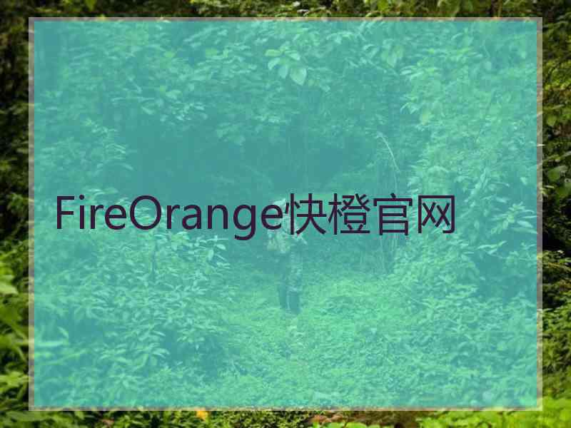 FireOrange快橙官网