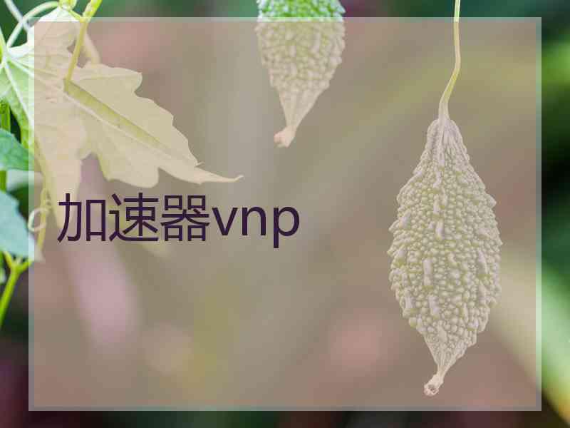 加速器vnp