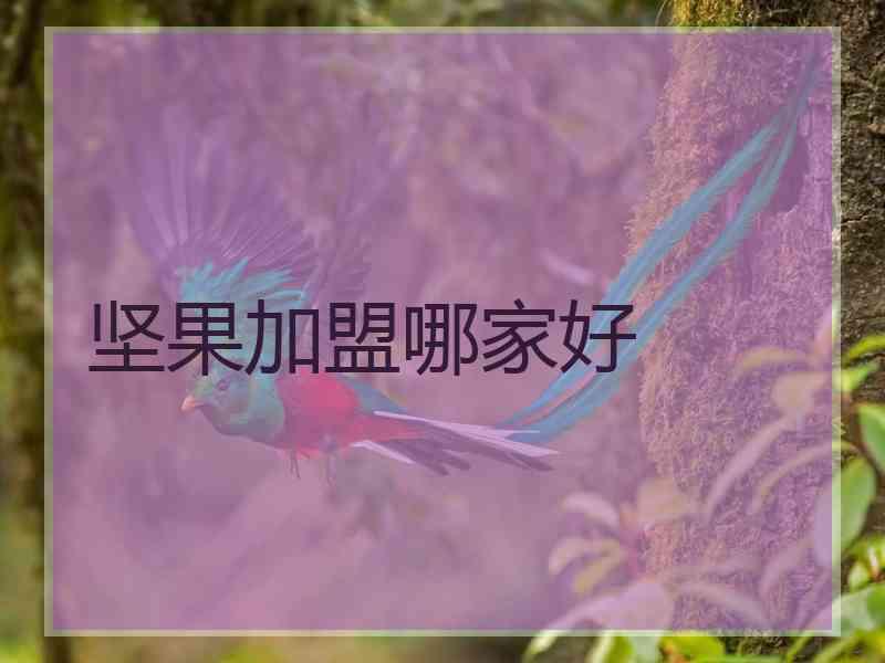 坚果加盟哪家好