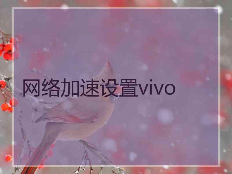 网络加速设置vivo