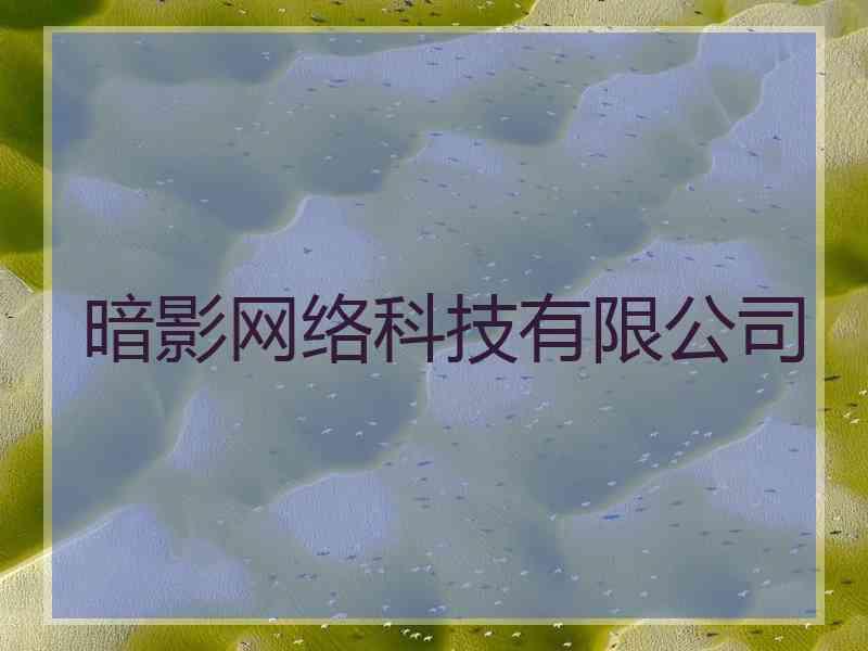 暗影网络科技有限公司