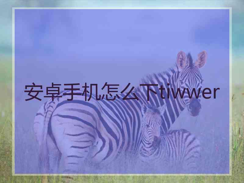 安卓手机怎么下tiwwer