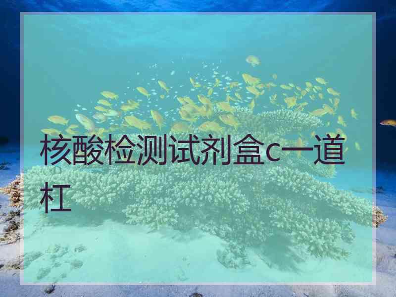 核酸检测试剂盒c一道杠