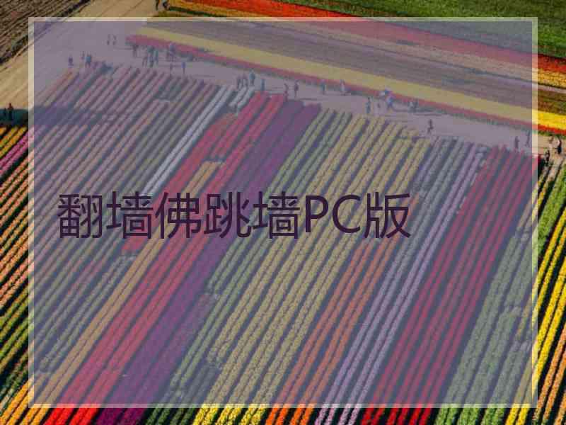 翻墙佛跳墙PC版