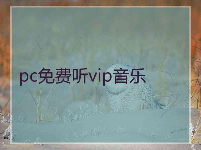 pc免费听vip音乐