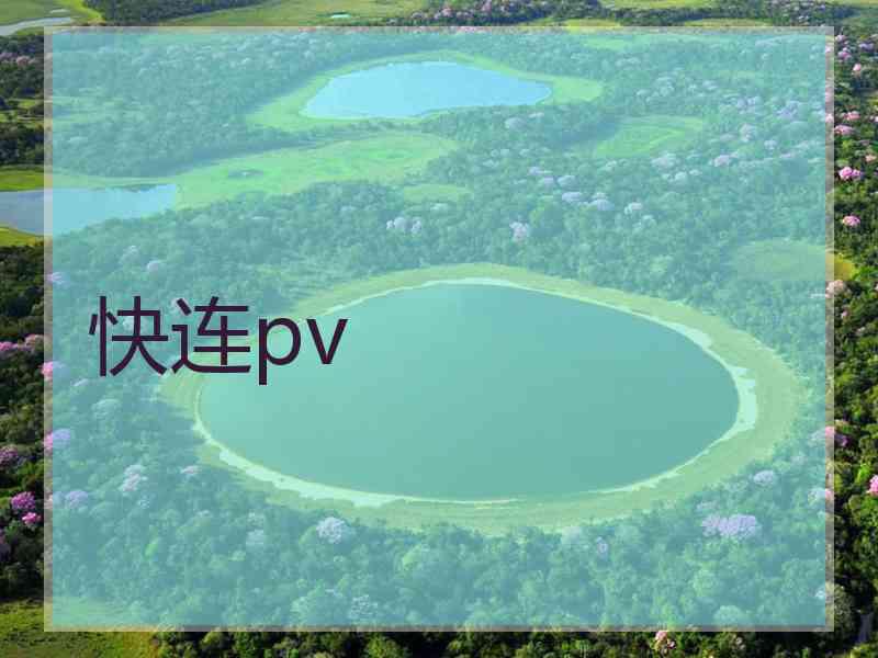 快连pv