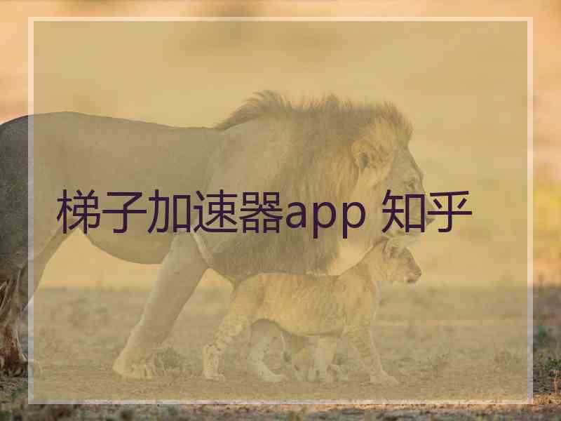 梯子加速器app 知乎