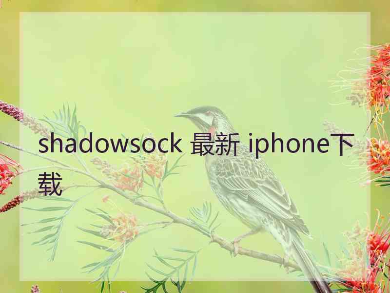 shadowsock 最新 iphone下载