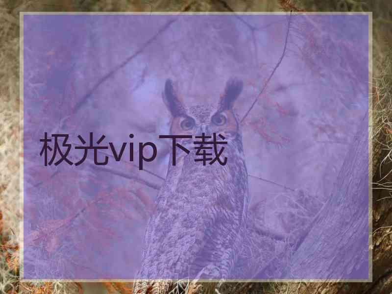 极光vip下载