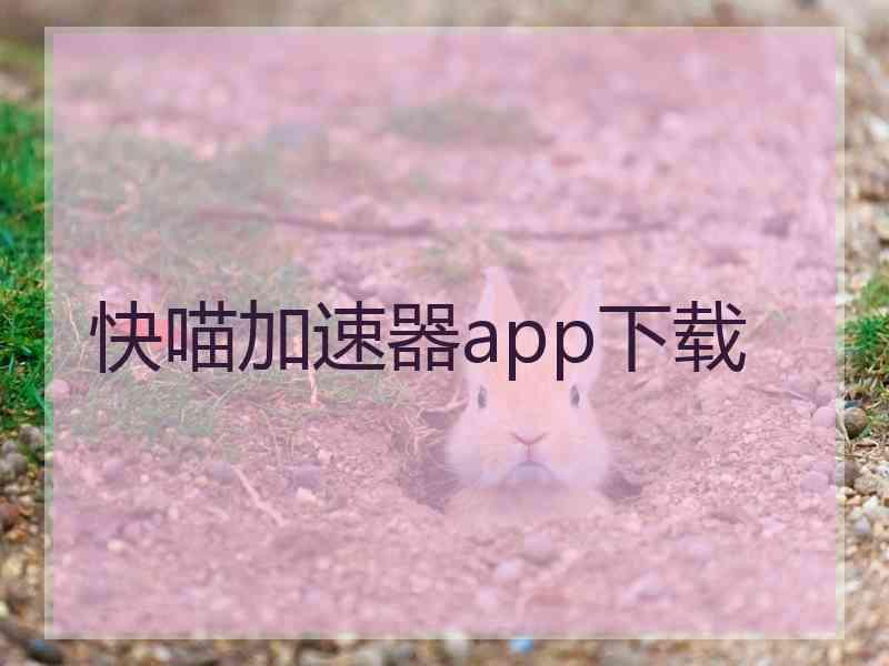 快喵加速器app下载