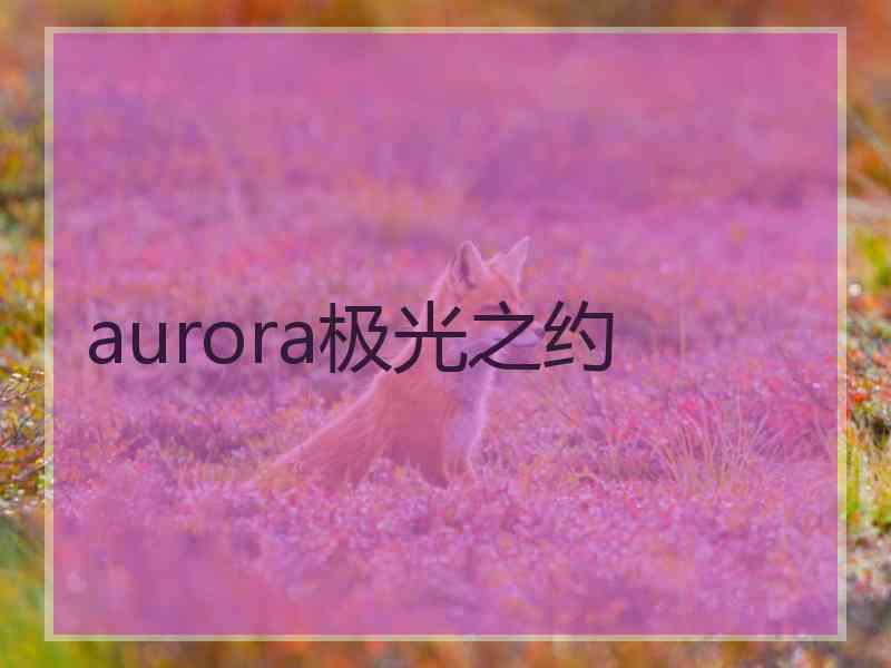 aurora极光之约