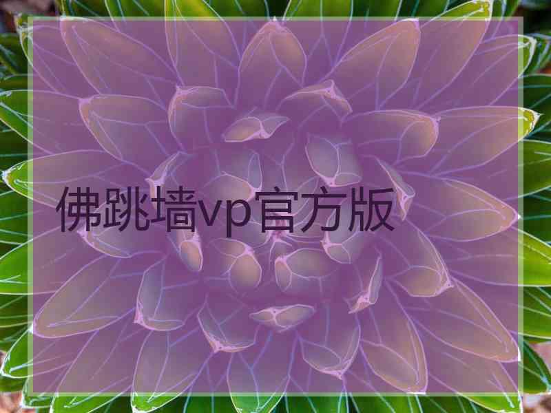 佛跳墙vp官方版