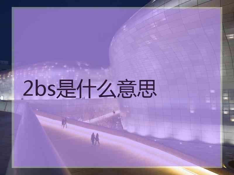 2bs是什么意思