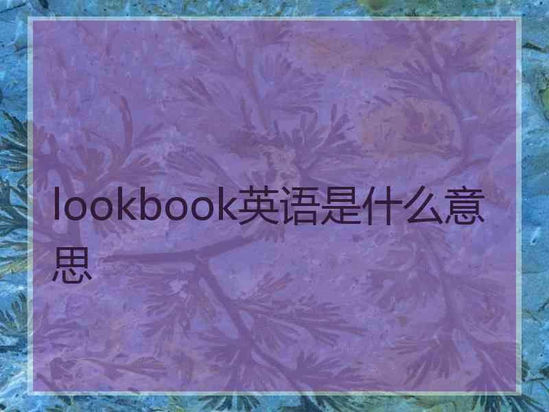 lookbook英语是什么意思