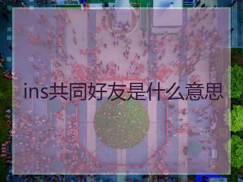 ins共同好友是什么意思