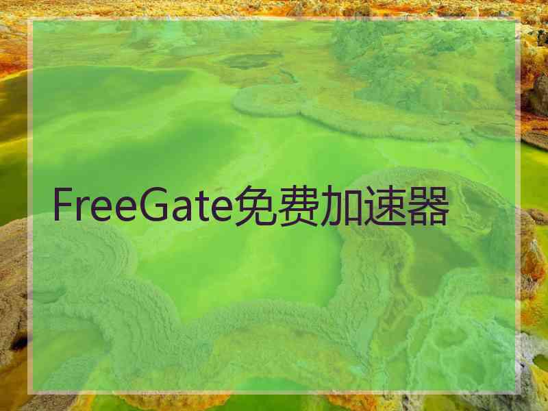 FreeGate免费加速器