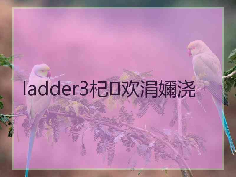 ladder3杞欢涓嬭浇