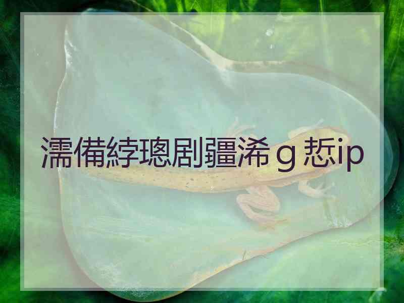 濡備綍璁剧疆浠ｇ悊ip