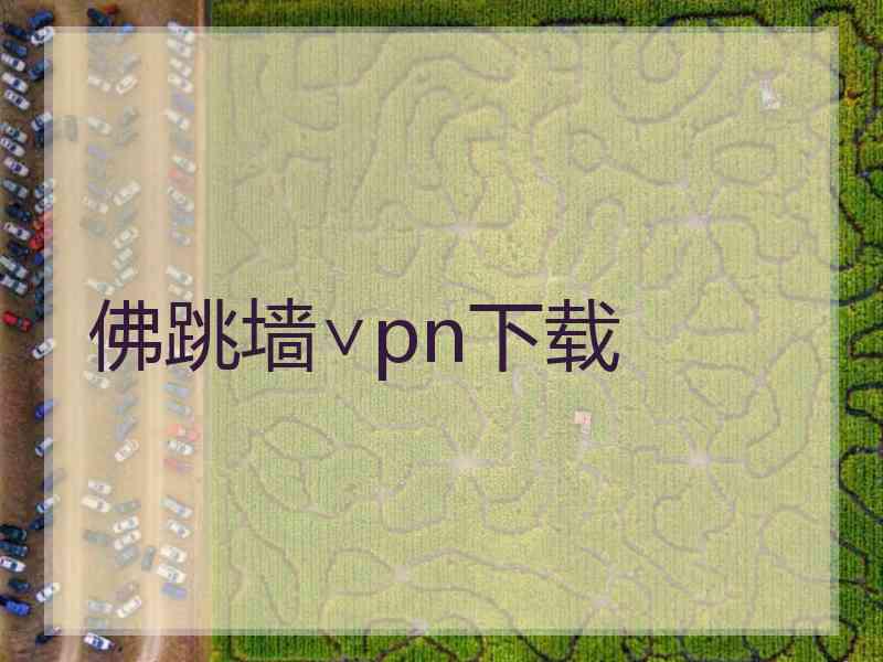 佛跳墙∨pn下载