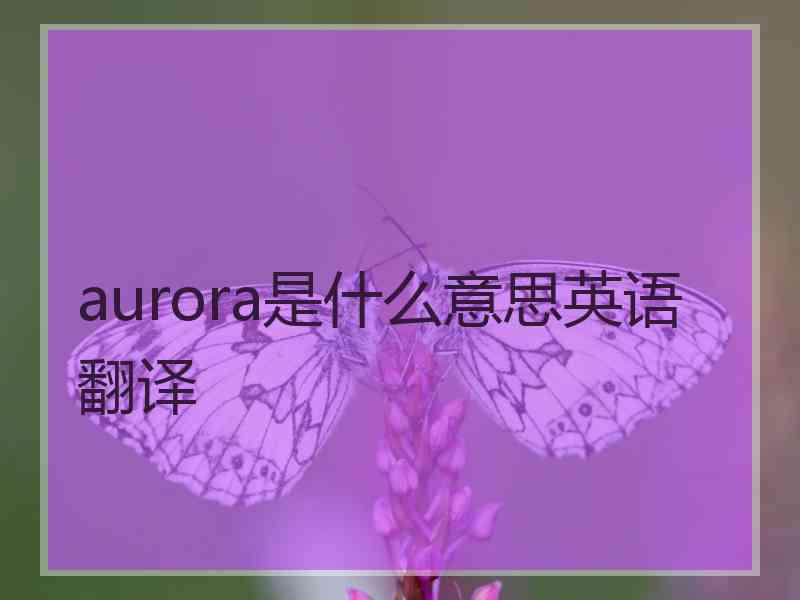 aurora是什么意思英语翻译