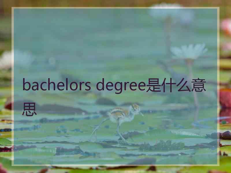 bachelors degree是什么意思