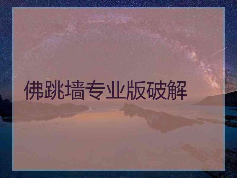 佛跳墙专业版破解