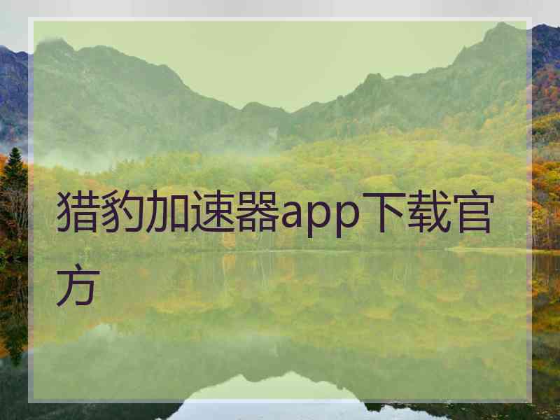 猎豹加速器app下载官方