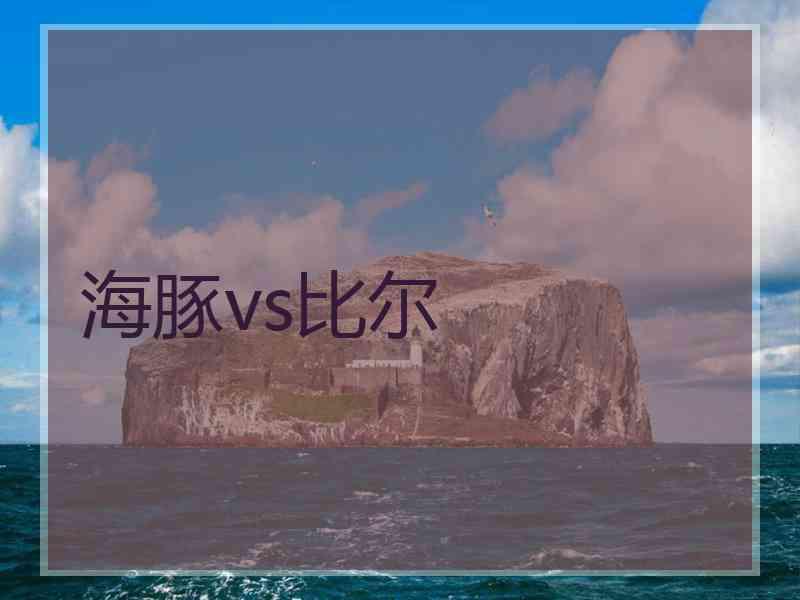 海豚vs比尔