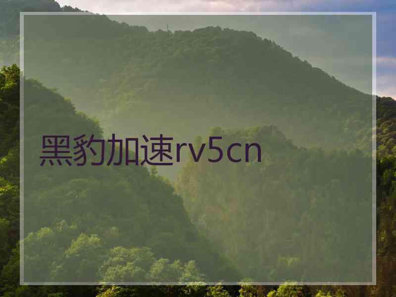 黑豹加速rv5cn